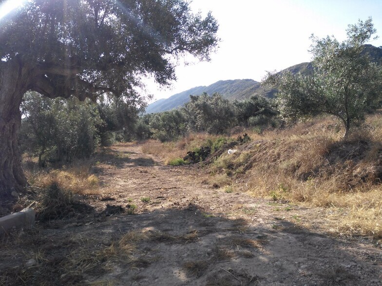 Terrain dans Calasparra, Murcia à vendre - Plan de site – Image 3 sur 25