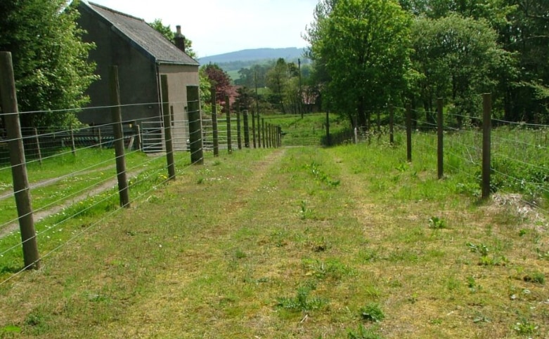 View Photo