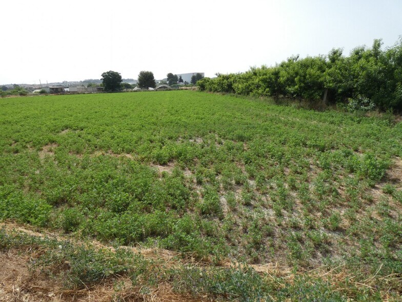 Terrain dans Alguazas, Murcia à vendre - Plan de site – Image 3 sur 7