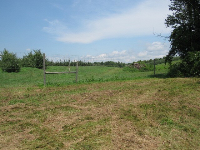 View Photo