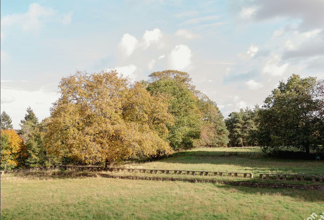 Portsmouth Rd, Guildford à louer Plan de site– Image 1 sur 10