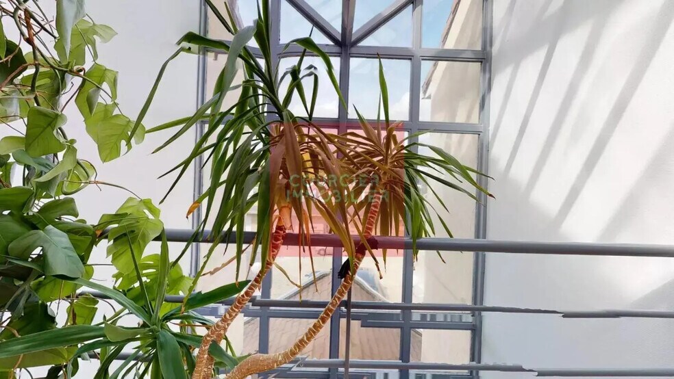 Bureau dans Rambouillet à louer - Photo intérieure – Image 2 sur 3