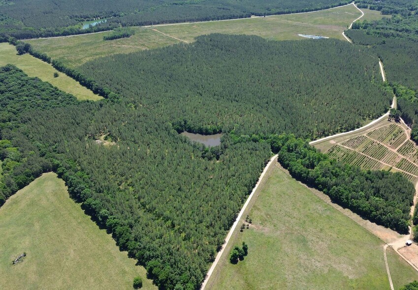 Flatwoods Rd, Elberton, GA à vendre - Hall d’entrée – Image 2 sur 12
