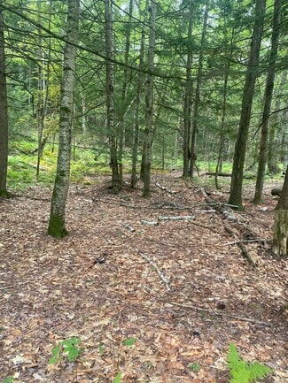 Plus de détails pour Daggett Hill (TM R16-3) Rd, Westmoreland, NH - Terrain à vendre