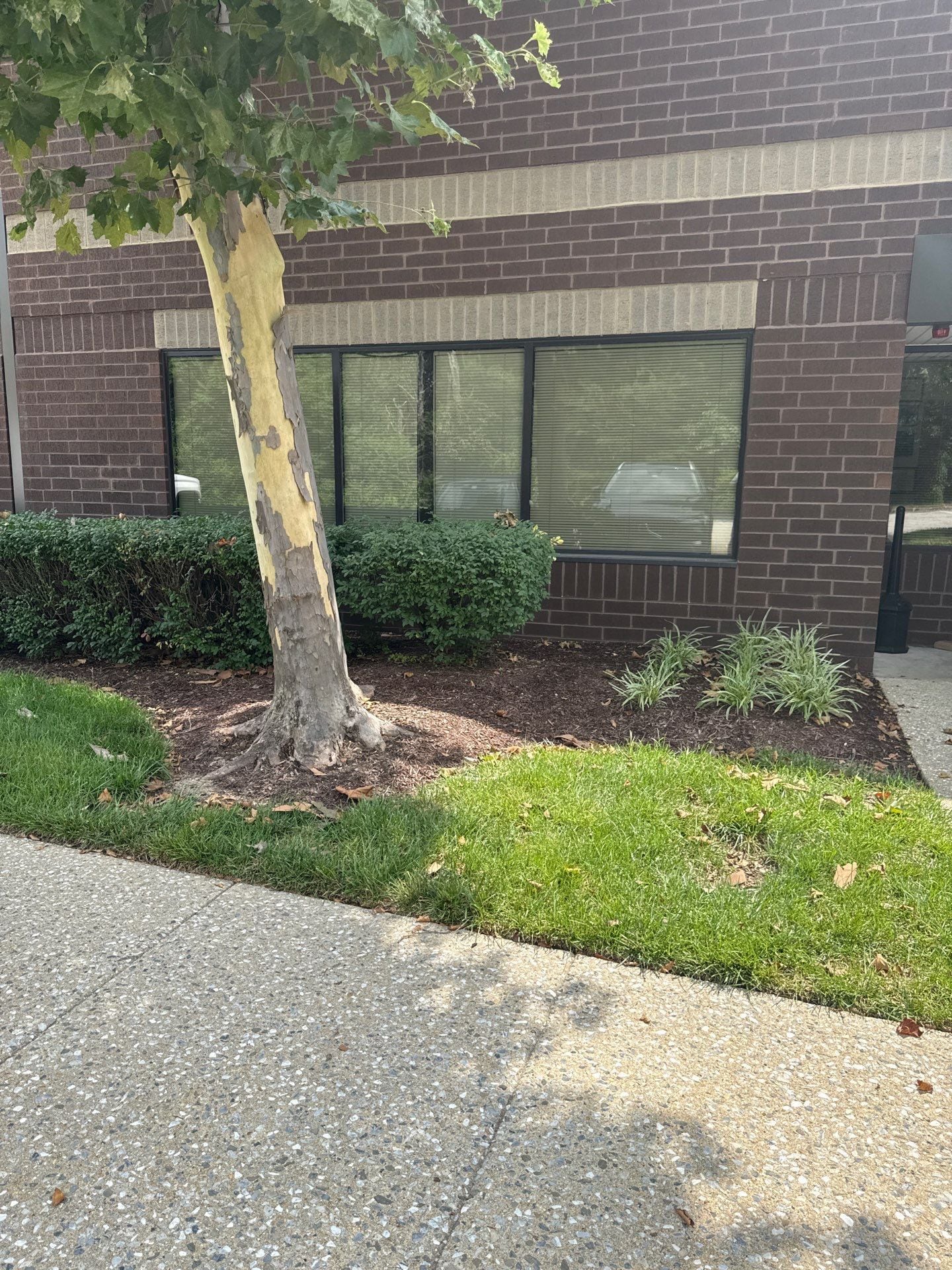 1131 Benfield Blvd, Millersville, MD à louer Photo de l’immeuble– Image 1 sur 13