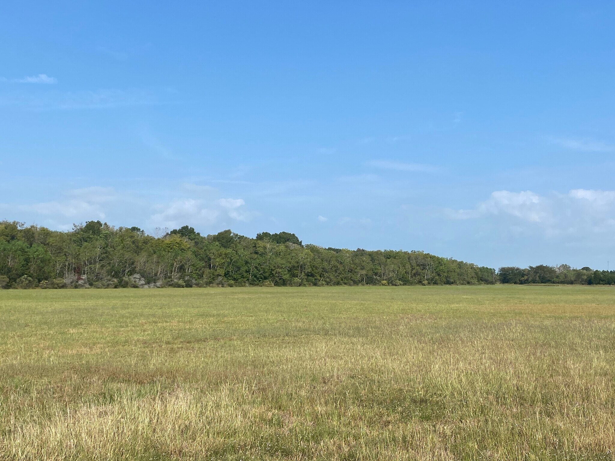 19.376 Acres off Walden @ IH 10, Beaumont, TX à vendre Photo principale– Image 1 sur 9