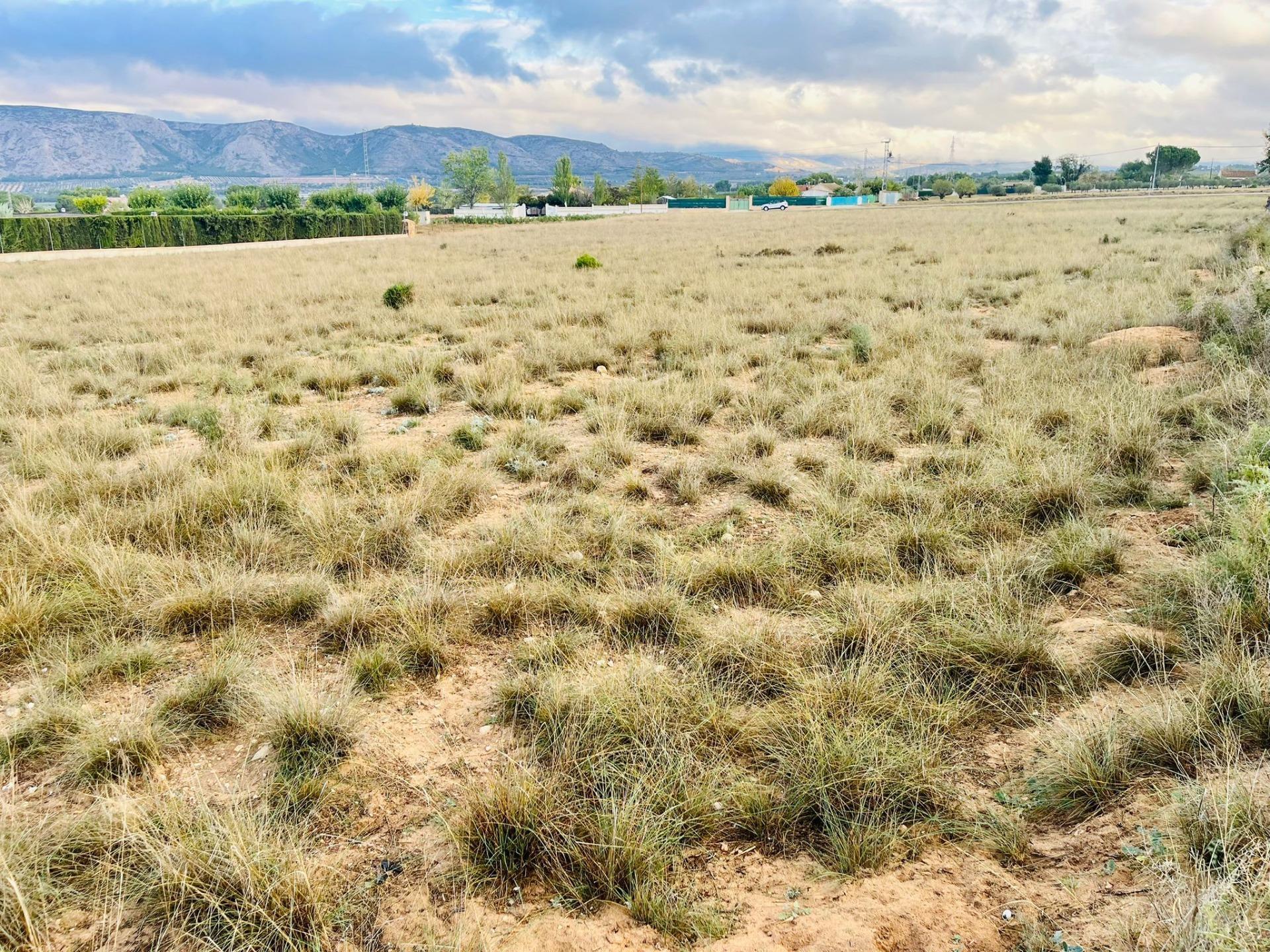 Partida las Tiesas, 53, Villena, Alicante à vendre Plan de site– Image 1 sur 11