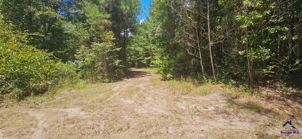 21.20 Acres Priest Road, Vienna, GA à vendre - Autre – Image 2 sur 20