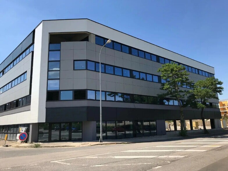 96 Boulevard D'Austrasie, Nancy à louer - Photo de l’immeuble – Image 1 sur 12