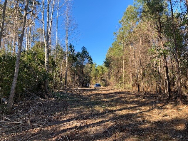 Fisher Landing Rd, Jarvisburg, NC à vendre - Photo de l’immeuble – Image 3 sur 18