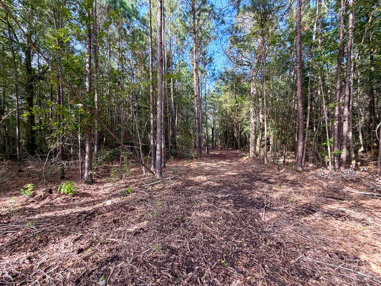 3.39 Acres, FM 787, Saratoga, TX à vendre - Photo de l’immeuble – Image 2 sur 23