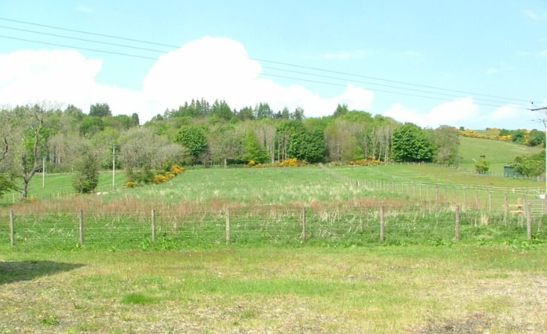 View Photo