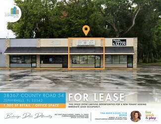 Plus de détails pour 38363 County Road 54 Rd, Zephyrhills, FL - Local commercial à louer