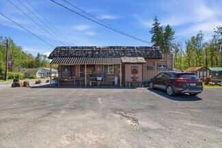 Plus de détails pour 1131 PA-390 Rt, Cresco, PA - Local commercial à vendre