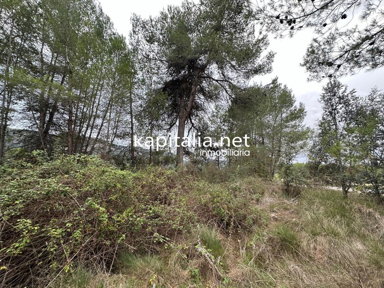 Terrain dans Alfafara, Alicante à vendre - Photo principale – Image 3 sur 5