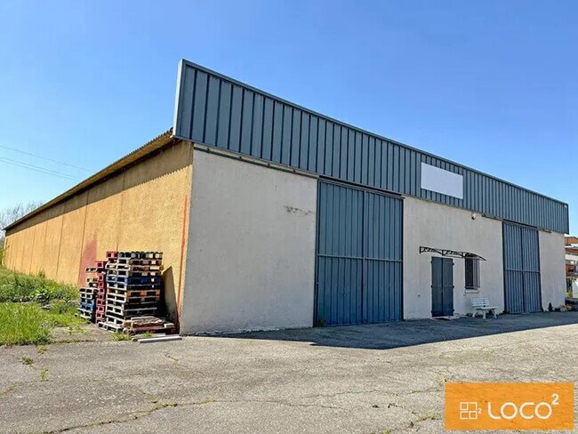 Plus de détails pour 7 Avenue Léon Jouhaux, Saint-Alban - Industriel/Logistique à louer
