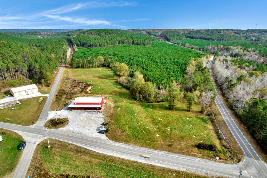 0 County Road 222, Cullman, AL à vendre - Photo de l’immeuble – Image 3 sur 9