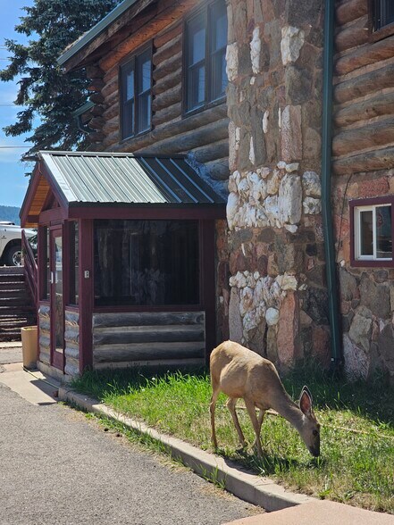 720 W US Highway 24, Woodland Park, CO à louer - Photo de l’immeuble – Image 3 sur 16