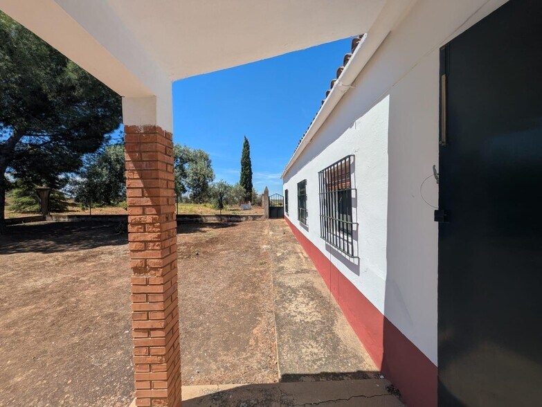 Terrain dans Solana de los Barros, Badajoz à vendre - Photo principale – Image 3 sur 49