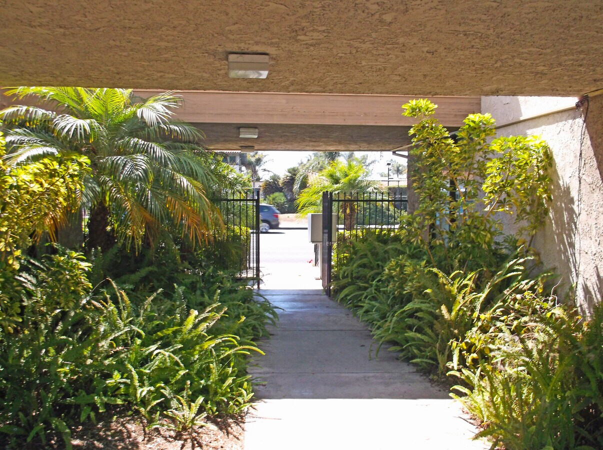 View Photo