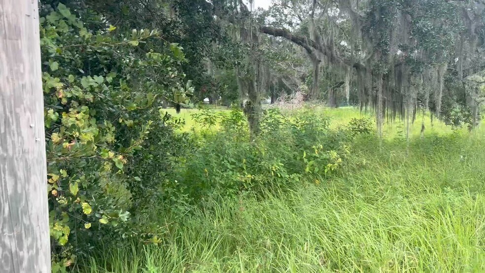 0 Bloomingdale Ave & Hurley Rd, Valrico, FL à vendre - Vidéo sur l’annonce professionnelle – Image 2 sur 4