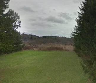 Plus de détails pour Freeville Rd, Dryden, NY - Terrain à vendre