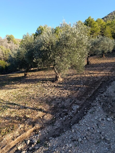 Terrain dans Bullas à vendre - Photo de l’immeuble – Image 3 sur 8