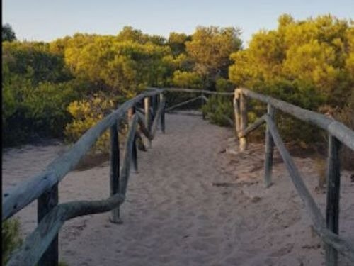 Terrain dans Elche, Alicante à vendre - Photo de l’immeuble – Image 2 sur 6
