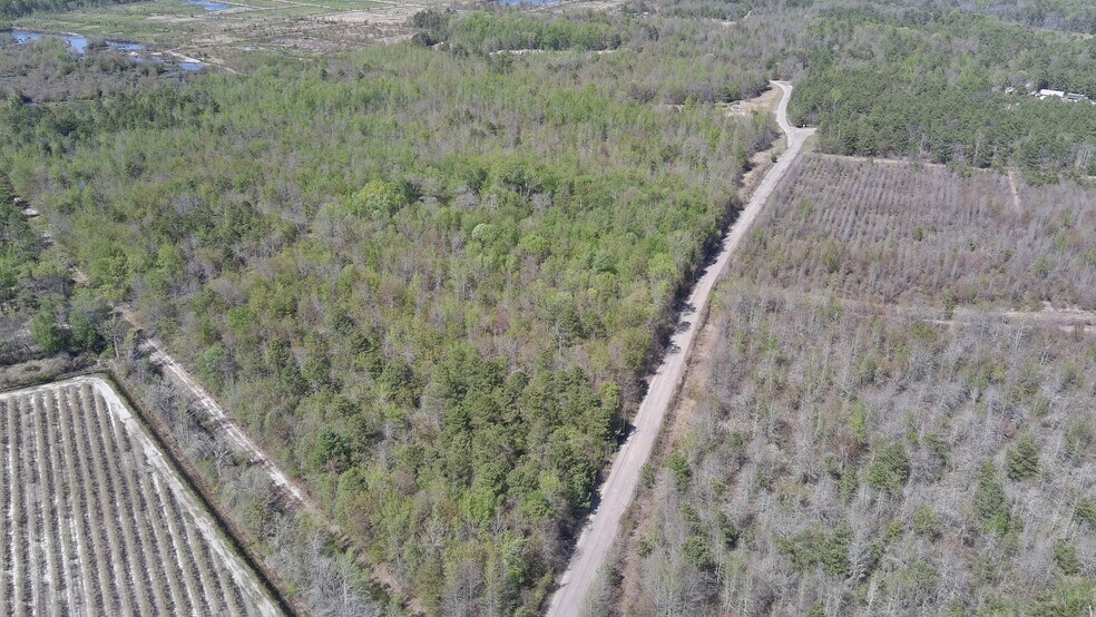 Sheeppenhill Road, Pemberton, NJ à vendre - Aérien – Image 3 sur 4