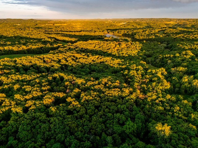 Tickridge Rd. (18+/- Acres), Silex, MO à vendre - Autre – Image 2 sur 24