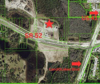 Plus de détails pour 18335 State Road 52, Land O Lakes, FL - Terrain à vendre