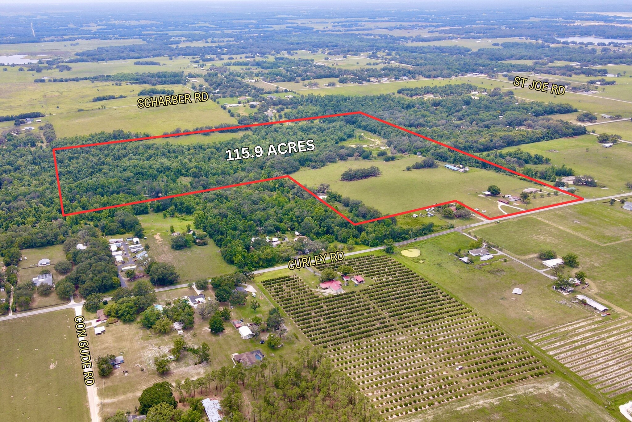 14409 Curley Rd, Dade City, FL à vendre Aérien– Image 1 sur 53