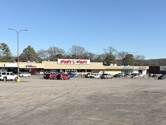 Plus de détails pour 2-34 Phillips Dr, Birmingham, AL - Local commercial à louer