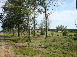 Plus de détails pour Coastal Blvd@ Hwy 25, Covington, LA - Terrain à vendre
