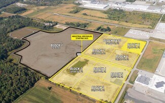 Plus de détails pour 274171 Wallace Line, Ingersoll, ON - Industriel/Logistique à vendre