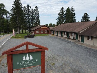 Plus de détails pour 32600 N State Route 44, Slate Run, PA - Hôtellerie à vendre