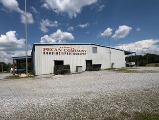 Plus de détails pour 33600 AL Highway 22, Verbena, AL - Local d’activités à vendre