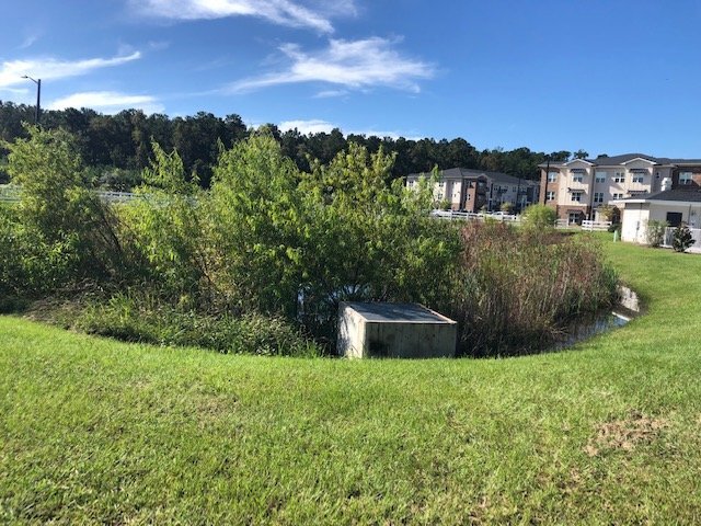 St James Ave, Summerville, SC à vendre - Autre – Image 3 sur 6