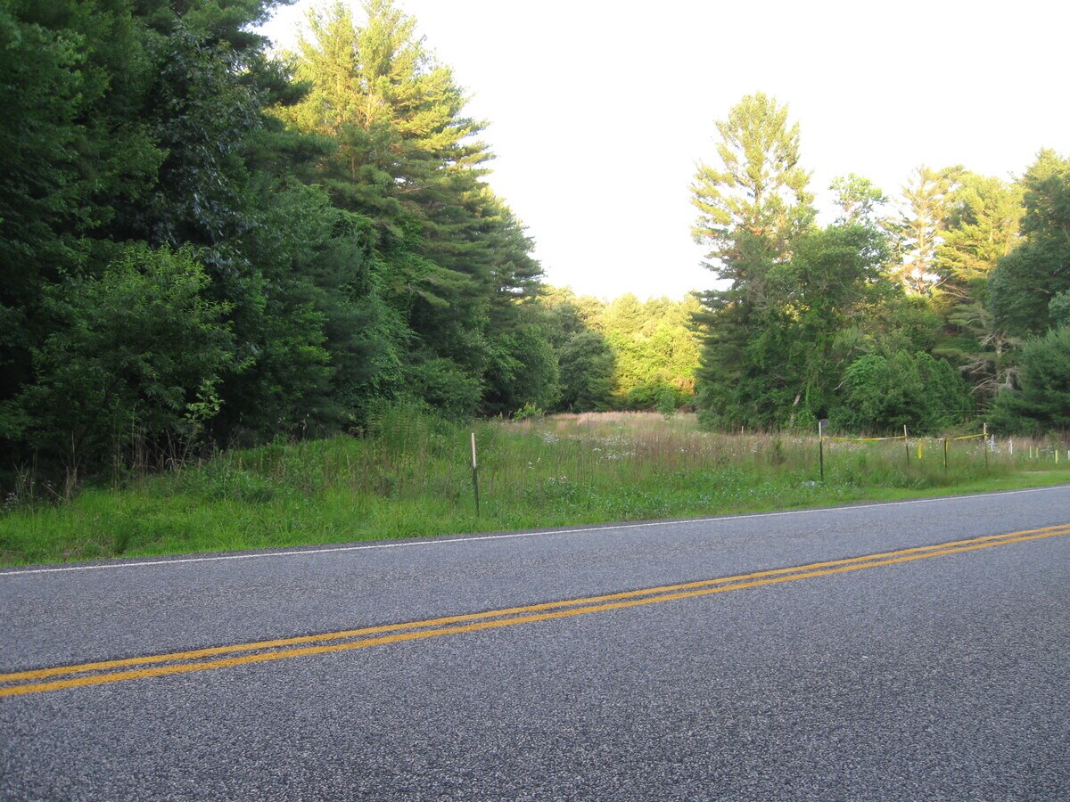 View Photo