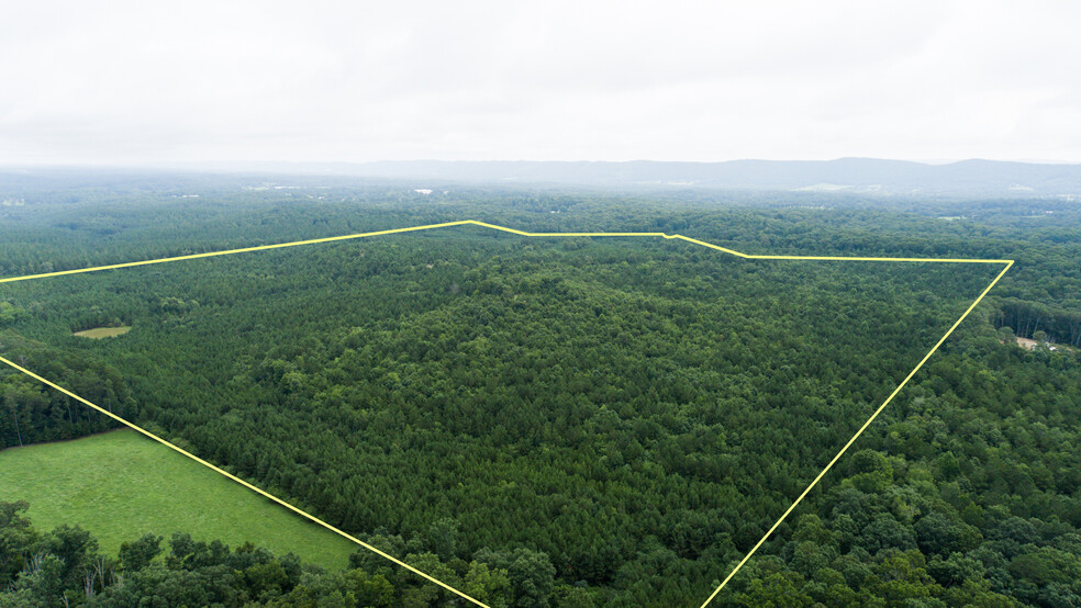 0 Waters Dr, Ringgold, GA à vendre - Photo principale – Image 1 sur 11