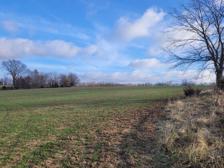 Bales Rd. (26.5+/- Acres), Middletown, MO à vendre - Autre – Image 1 sur 20