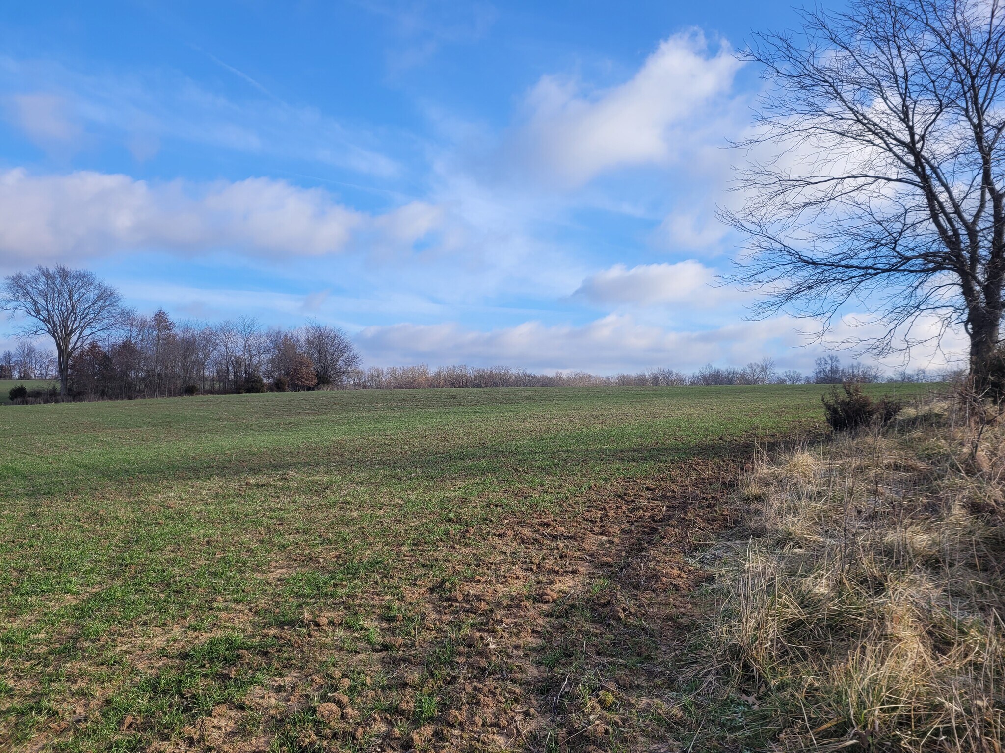 Bales Rd. (26.5+/- Acres), Middletown, MO à vendre Autre– Image 1 sur 21