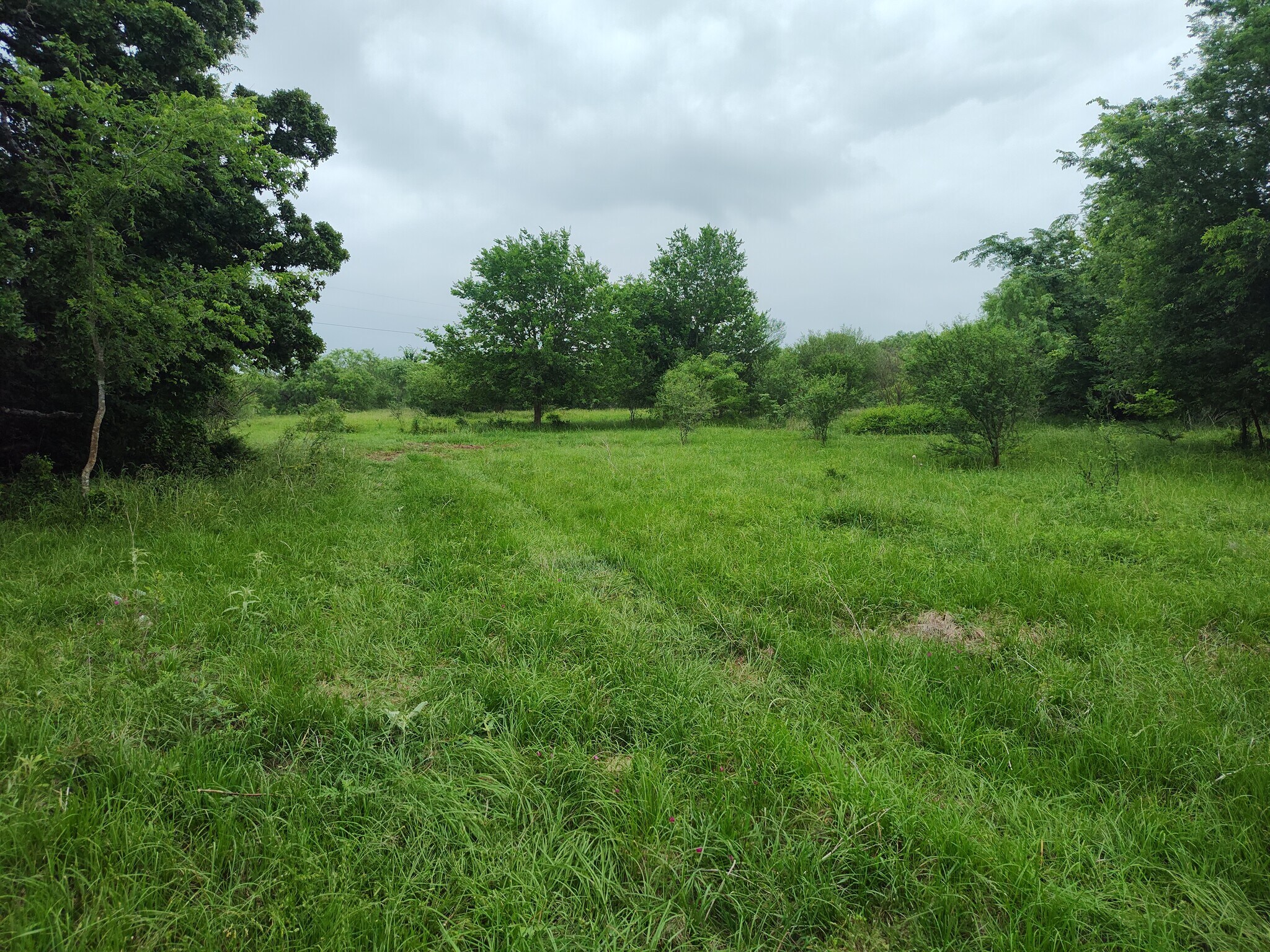 TBD Grimes CR 108, Iola, TX à vendre Photo de l’immeuble– Image 1 sur 11