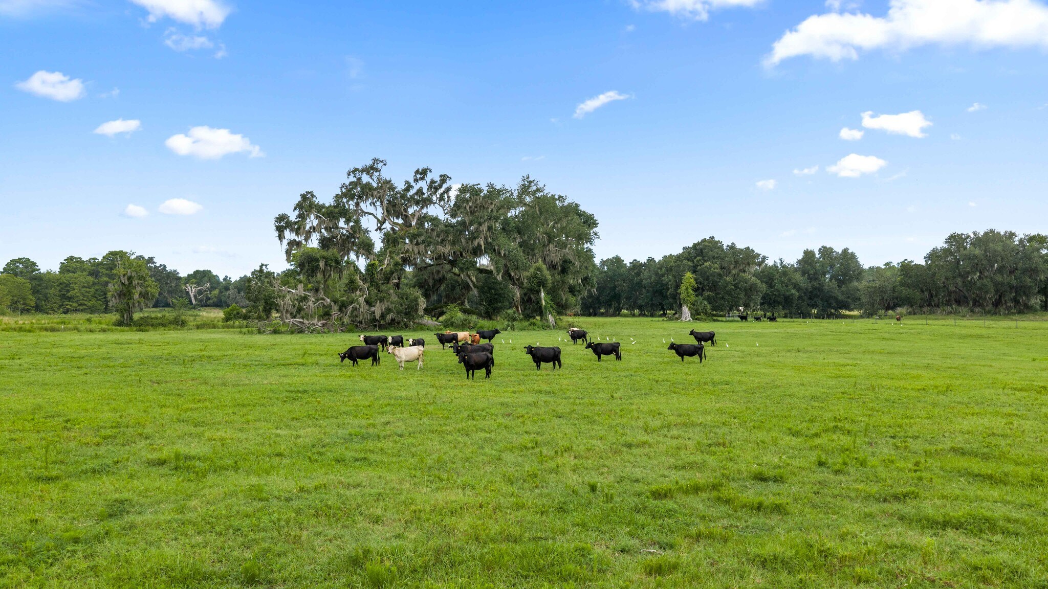 CR 774, Webster, FL à vendre Autre– Image 1 sur 17