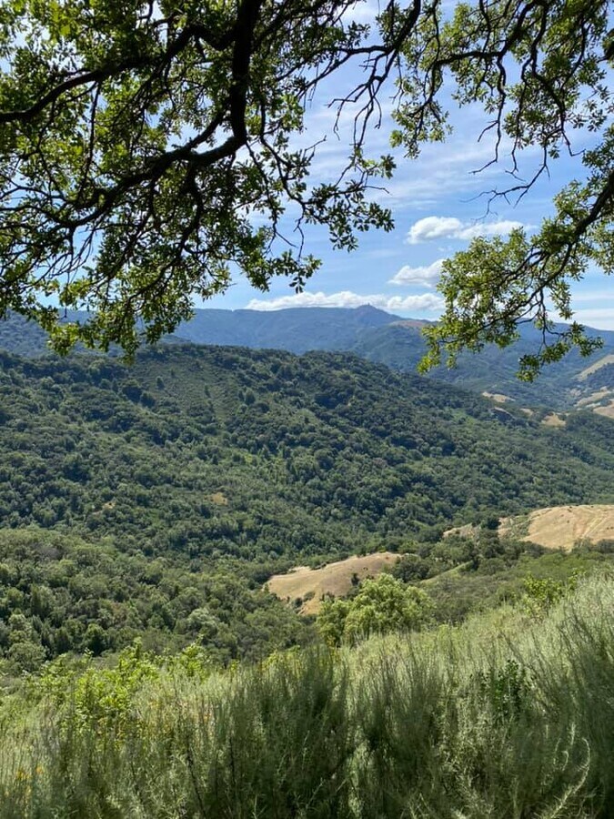 View Photo