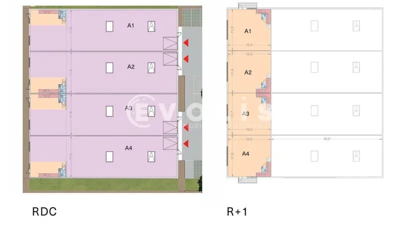 Local d'activités dans Montgeron à vendre - Plan d’étage – Image 3 sur 4