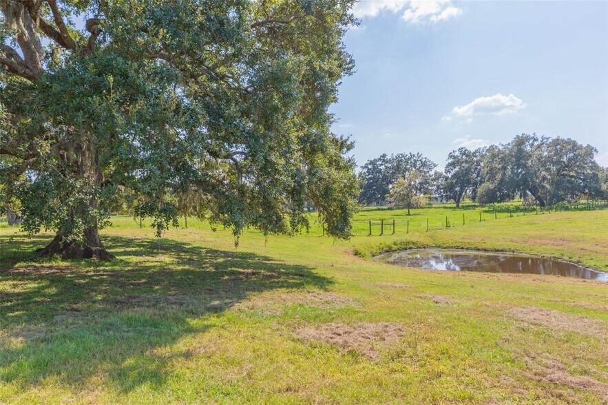 16225 Bellamy Brothers Blvd, Dade City, FL à vendre - Photo de l’immeuble – Image 2 sur 78