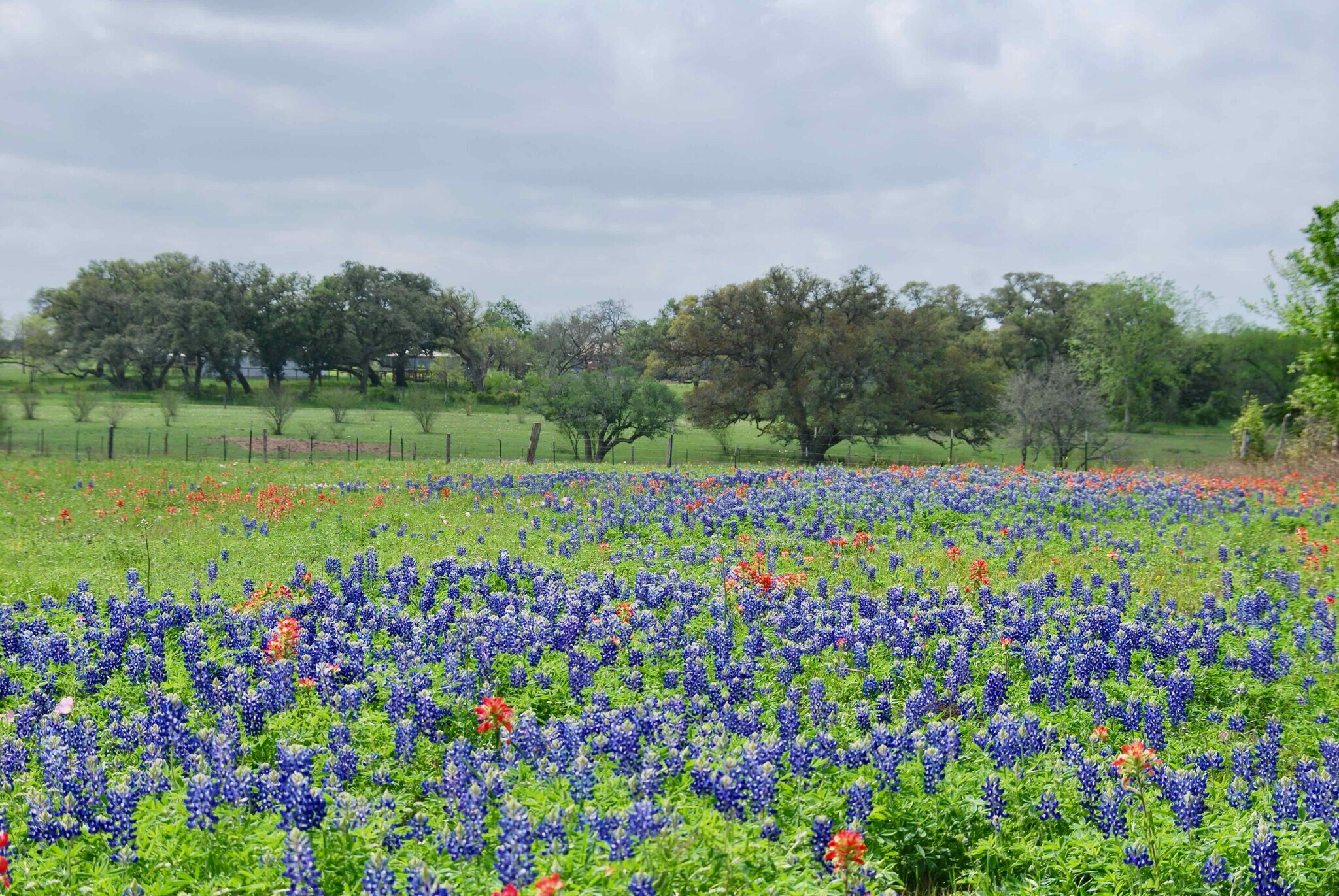 Highway 90A, Shiner, TX à vendre Photo principale– Image 1 sur 17