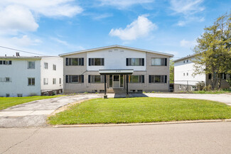 Plus de détails pour 552 Treeside Dr, Akron, OH - Logement à vendre