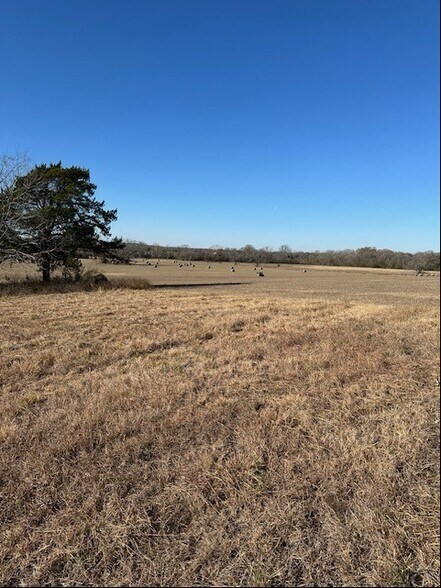460 Washington St, Round Top, TX à vendre - Photo de l’immeuble – Image 2 sur 6